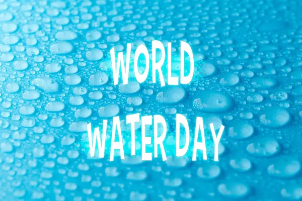 World Water Day With Dewdrops on a Blue Surface, Emphasizing Hydration and Preservation