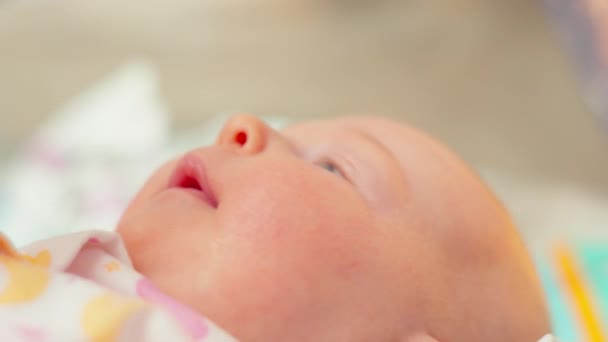 Bebé Recién Nacido Mientras Los Rayos Del Sol Iluminan Suavemente — Vídeo de stock