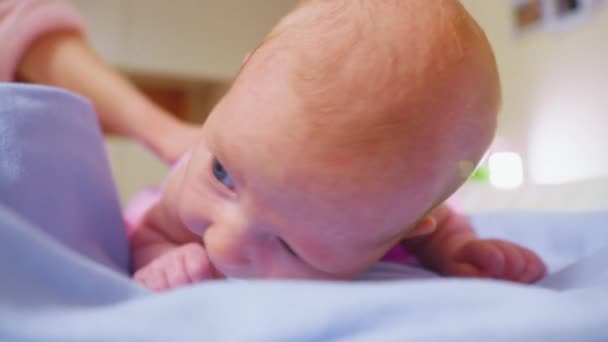 신생아 디스플레이 부드럽게 머리를 아기의 초상화 — 비디오