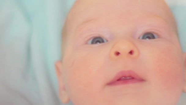 Inquisitive Newborn Gaze Moments Captured Indoors — Stock video