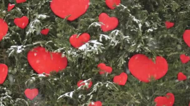 Αυτό Σαγηνευτικό Βίντεο Ένα Χιονισμένο Δέντρο Γίνεται Σύμβολο Αγάπης Κλαδιά — Αρχείο Βίντεο