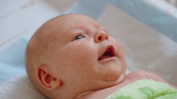 新生児の肖像画は 快適さと保護を伝えるために優しく保持されています — ストック動画