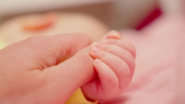 Person Hand Gently Holding Baby Tiny Hand Showing Bond Care — Stock video