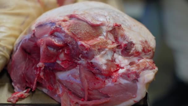 Carnea Crudă Juxtapusă Grațios Masă Așteptându Destinul Culinar Focalizare Selectivă — Videoclip de stoc