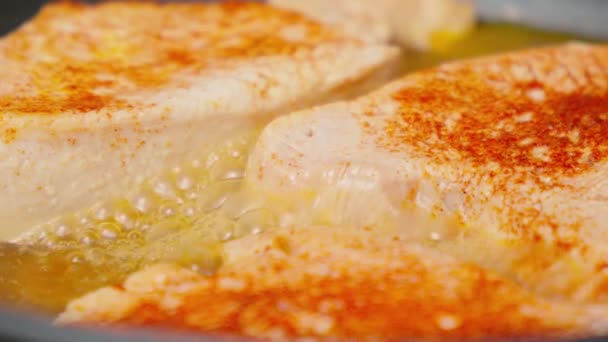 Comida Chisporroteando Cocinando Una Sartén Caliente Sea Testigo Los Ingredientes — Vídeo de stock