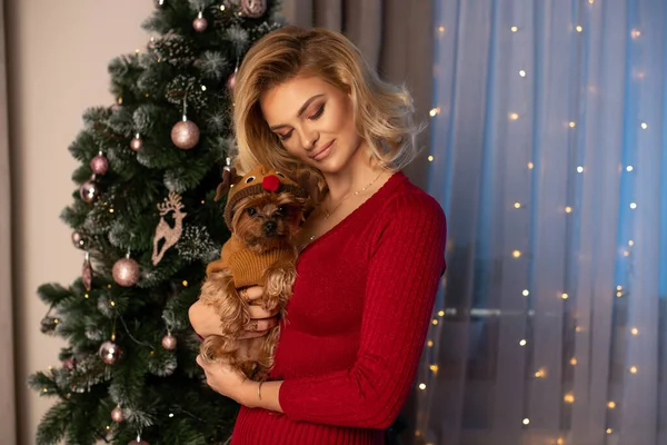 Schönheit Blonde Mädchen Mit Weihnachtsbaum — Stockfoto