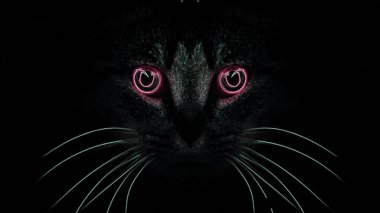 Abstract Illustration Cat's look on a black background