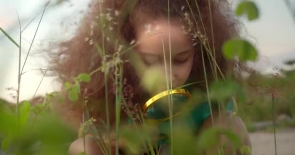 Çocuk Parkta Çimlerin Üzerinde Rüya Görüyor Mutlu Küçük Kız Gülümse — Stok video