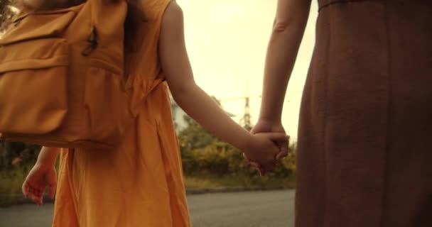 Glückliche Familienmütter Und Töchter Gehen Hand Hand Durch Den Park — Stockvideo