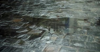 Yazın veya sonbaharda yağan yağmur damlaları şehirdeki asfalta düşer ve büyük bir su birikintisine dönüşerek caddeyi sel basar. Sel, yağmur mevsimi ve şiddetli yağmurdur. Yağmur damlaları yağar.