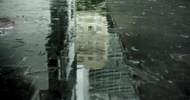Gotas Perto Chuva Verão Outono Água Caem Sobre Asfalto Cidade — Vídeo de Stock