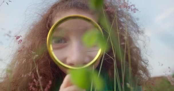 Child Dream Grass Park Happy Cute Little Girl Smile Child — Stock Video