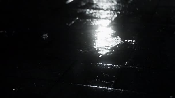 Primo Piano Notte Gocce Pioggia Estiva Autunnale Cadono Sull Asfalto — Video Stock