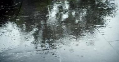 Yazın veya sonbaharda yağan yağmur damlaları şehirdeki asfalta düşer ve büyük bir su birikintisine dönüşerek caddeyi sel basar. Sel, yağmur mevsimi ve şiddetli yağmurdur. Yağmur damlaları yağıyor. Seller