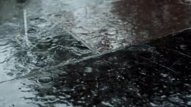 Yazın veya sonbaharda yağan yağmur damlaları şehirdeki asfalta düşer ve büyük bir su birikintisine dönüşerek caddeyi sel basar. Sel, yağmur mevsimi ve şiddetli yağmurdur. Yağmur damlaları yağıyor. Seller