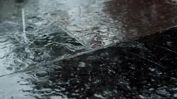 Großaufnahme Fallen Sommerliche Oder Herbstliche Wassertropfen Auf Den Asphalt Der — Stockvideo