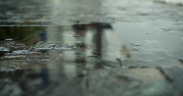 Крупним Планом Краплі Літнього Або Осіннього Дощу Води Падають Асфальт — стокове відео