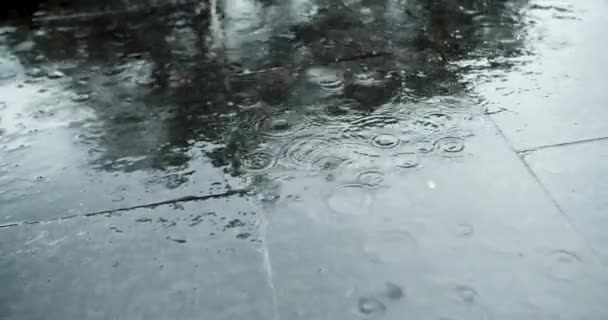 Közelkép Csepp Nyári Vagy Őszi Eső Esik Aszfaltra Városban Fordul — Stock videók