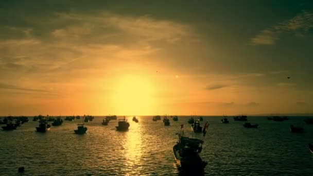 日没の数十隻のアジア漁船の海岸からのドローンビューからの映像 ネスの巨大な漁船の空中ビューは ベトナム中央部に魚介類をもたらします — ストック動画