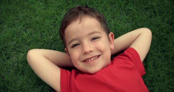 Szczęśliwe Małe Dziecko Zabawny Chłopiec Leży Zielonej Trawie Zachodzie Słońca — Wideo stockowe