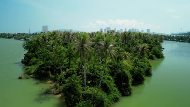 Tropik Idyllic Cennet Adası Ndaki Palm Beach Ada Palmiyeleri Deniz — Stok video