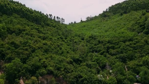 从空中俯瞰越南城市周围的Nha Trang和风景秀丽的森林群山 无人机飞越了沿海城市和令人赞叹的青山 从诺依山俯瞰风景 — 图库视频影像