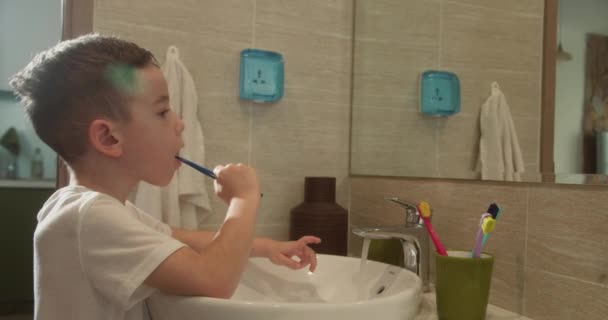 浴室の肖像画幸せなかわいい子供の歯をブラッシングし 赤ん坊の毎日のヘルスケアルーチン 白人の子供は家で鏡を見てブラッシング ライフスタイル — ストック動画