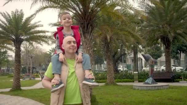 快乐的父亲和他的小儿子在公园里散步 一位父亲抱着他的小儿子在公园里散步 公园里的人幸福家庭童年梦想的概念 — 图库视频影像