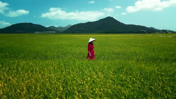 Uma Mulher Vietnamita Vestido Tradicional Vermelho Caminha Campo Arroz Contra — Vídeo de Stock