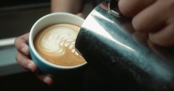 Coffee Barista Slow Art Coffee — Stock Video