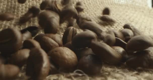 Pečená Kávová Zrnka Letí Dolů Lopatku Batoh Padajícími Praženými Kávovými — Stock video