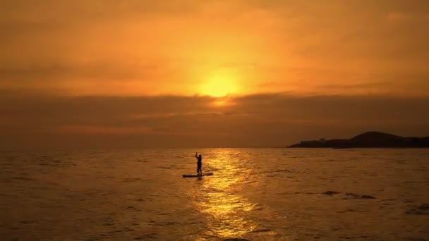 Ung Kvinna Stand Paddel Ombord Utövar Vid Solnedgången Stå Upp — Stockvideo
