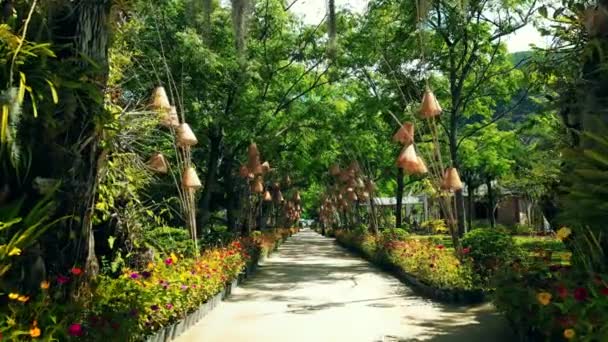 Park Dao Hoa Lai Nha Trang Vietnam 古老的历史古建筑群文化是国家的建筑特色 热带公园树木 视觉旅行 — 图库视频影像