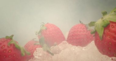 Aşırı yakın plan, makro detaylı, kırmızı çilekler dumandaki kuru buzun üzerinde yatıyor. Beyaz süt sıvısıyla kaplı tatlı kırmızı böğürtlenler. Krema ya da yoğurdu sulu taze çileklerin üzerine dök. 4K.