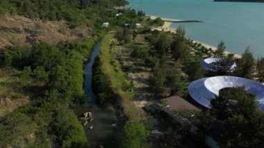 Mavi bir gökyüzü ve yakın çekim olan güneş ışığı karşısında vahşi bir leylek havada süzülüyor. Leylekler karada uçuyor. Leylekler uçuyor. 4K