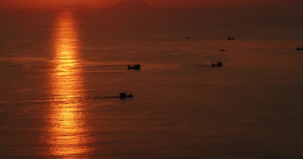 Arrastões Pegam Saury Mar Sul Vietnã Pescadores Apanham Saury Mar — Vídeo de Stock