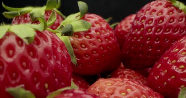 Delicioase Boabe Vară Căpşuni Red Juicy Cope Fundalul Fresh Harvest — Videoclip de stoc