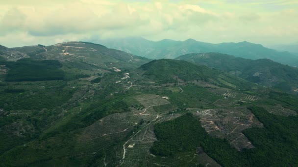 Зверху Бачите Кавові Поля Дахха Контумі Центральному Нагір Єтнаму Kontum — стокове відео