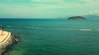Tropikal plajda. Güneş ışığında palmiye ağaçları. Hindistan cevizi palmiyesi manzaralı. Mavi arka planda yeşil palmiye ağacı. Gökyüzüne bakan palmiye ağaçları. 4K.