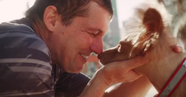 Cinematikus Közeli Felvétel Boldog Ember Simogatja Megcsókolja Származású Kutya Miközben — Stock videók