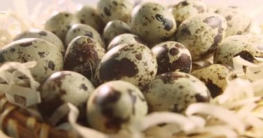 Saman yuvasındaki bıldırcın yumurtalarını kapatın. Organik tarım, doğal natürmort. İlkbahar, Paskalya. Bıldırcın yumurtalarının dönüşümlü görüntüsü. Parlak renkli bıldırcın yumurtaları. Makro. Seçici odaklanma. Bıldırcın.