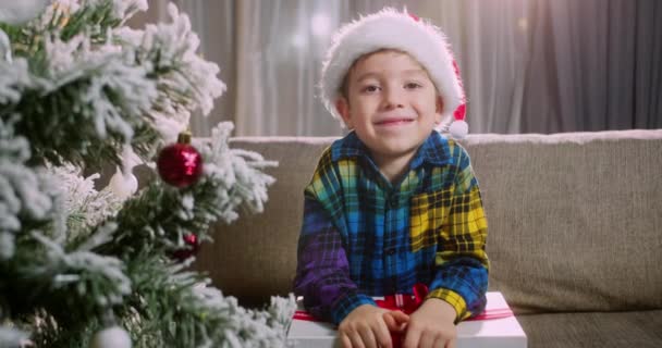 즐거운 크리스마스 모자를 어린이의 미소짓는 소년의 아름다운 초상화 크리스마스 배경에 — 비디오