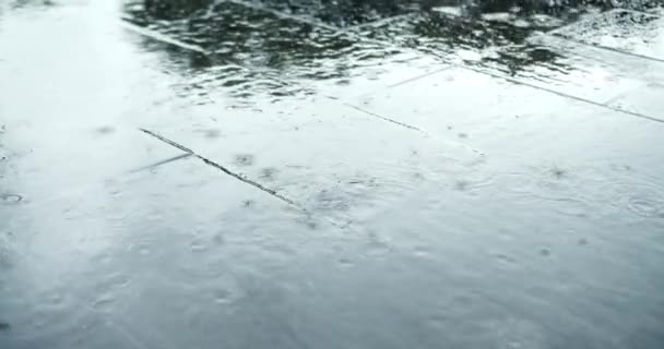 Grandes Gotas Lluvia Verano Otoño Agua Caen Sobre Asfalto Ciudad — Vídeo de stock