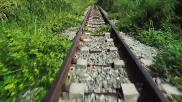 Vonat Mozgása Vasúti Síneken Lövöldözés Frontális Mozgás Vonaton Áruk Szállítása — Stock videók