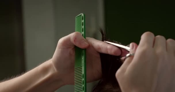 Homme Élégant Assis Salon Coiffure Coiffeur Femme Coupant Ses Cheveux — Video