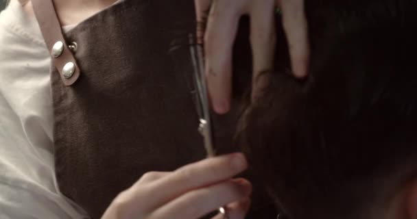 Hombre Elegante Sentado Barbería Peluquero Mujer Cortándole Pelo Retrato Guapo — Vídeos de Stock