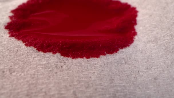 红血被吸收到纸上 白色餐巾纸 宏观弹丸 — 图库视频影像