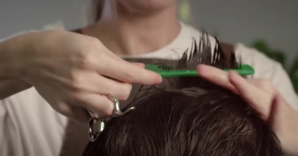 Stylish Man Sitting Barbershop Hairdresser Woman Cutting His Hair Portrait — Stock Video
