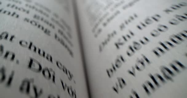 Kitabın Içinde Hızla Ilerleyen Makro Görünüm Bir Kitabın Bir Sayfasının — Stok video