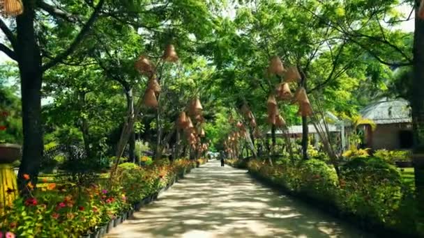 パークダオ ニャチャン ベトナム 古代の歴史的建造物 文化国家建築の特徴 熱帯公園の木 視覚的な旅 — ストック動画